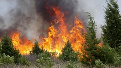 Incendio-forestal.jpg