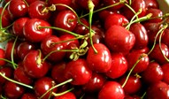 Cerejas001