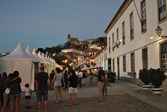 Pena Terras Lince