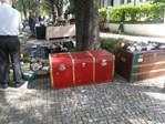 IMG 20160610 102054