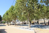 Obras Largo Da Devesa