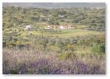 Monte_Barata.jpg