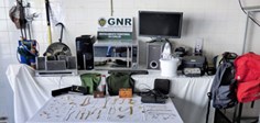 Gnr