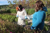 Bioaromas