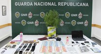 Alpreade