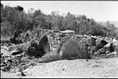 Ponte