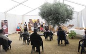 Eventos
