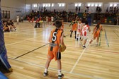 Basquetebol