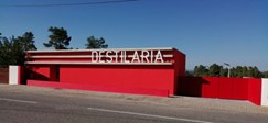 Tojeiras
