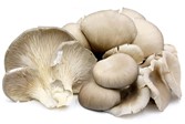 Sarzedas