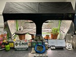 Gnr