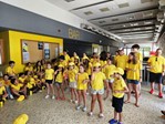 Alcains Ferias