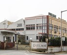 Dielmar