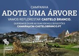 Castelo Branco Arvore