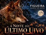 Proenca Figueira