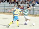 Salgueiro Povoa.jpg