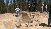 Proenca Campo Arqueologico 02