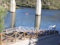 DSCF1210.jpg