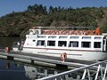 DSCF1230.jpg