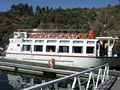 DSCF1231.jpg