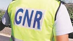 Gnr 1