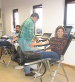 Celtejo Sangue Net