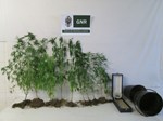 Gnr Droga 01