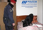 Psp droga 02.JPG