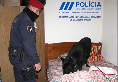 Psp droga 02.JPG