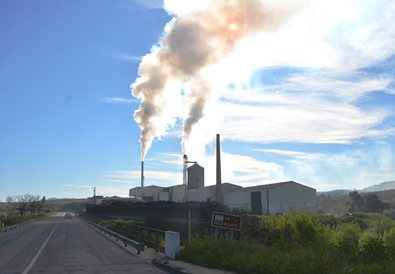 Centroliva 01