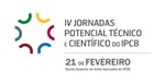 Politecnico