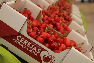 Cereja