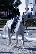Hipismo
