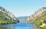Rodao