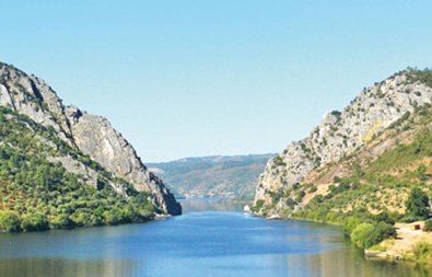 Rodao