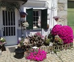 Janelas