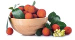Medronhos
