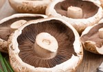 Cogumelos