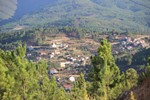 Floresta