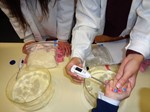 Ciencia