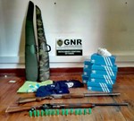 Gnr