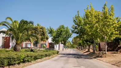 Campismo