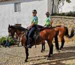 Cavalos
