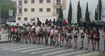 Cortiçada