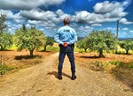 Campo