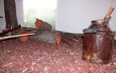 Corgas