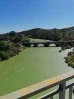 Ponsul