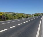 estrada1.jpg