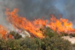 incendio.JPG