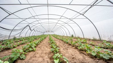 Agricultura